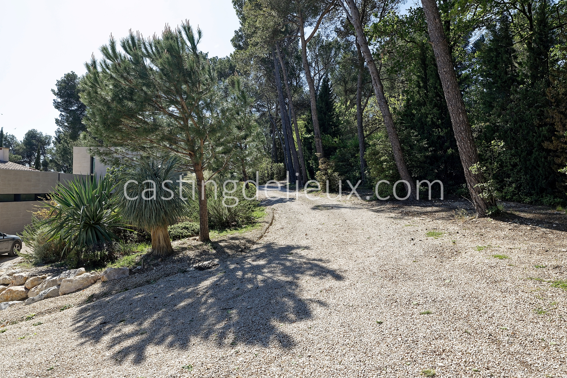 castingdelieux124-FR013W