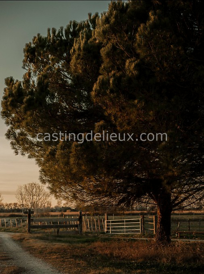 castingdelieux13FR004