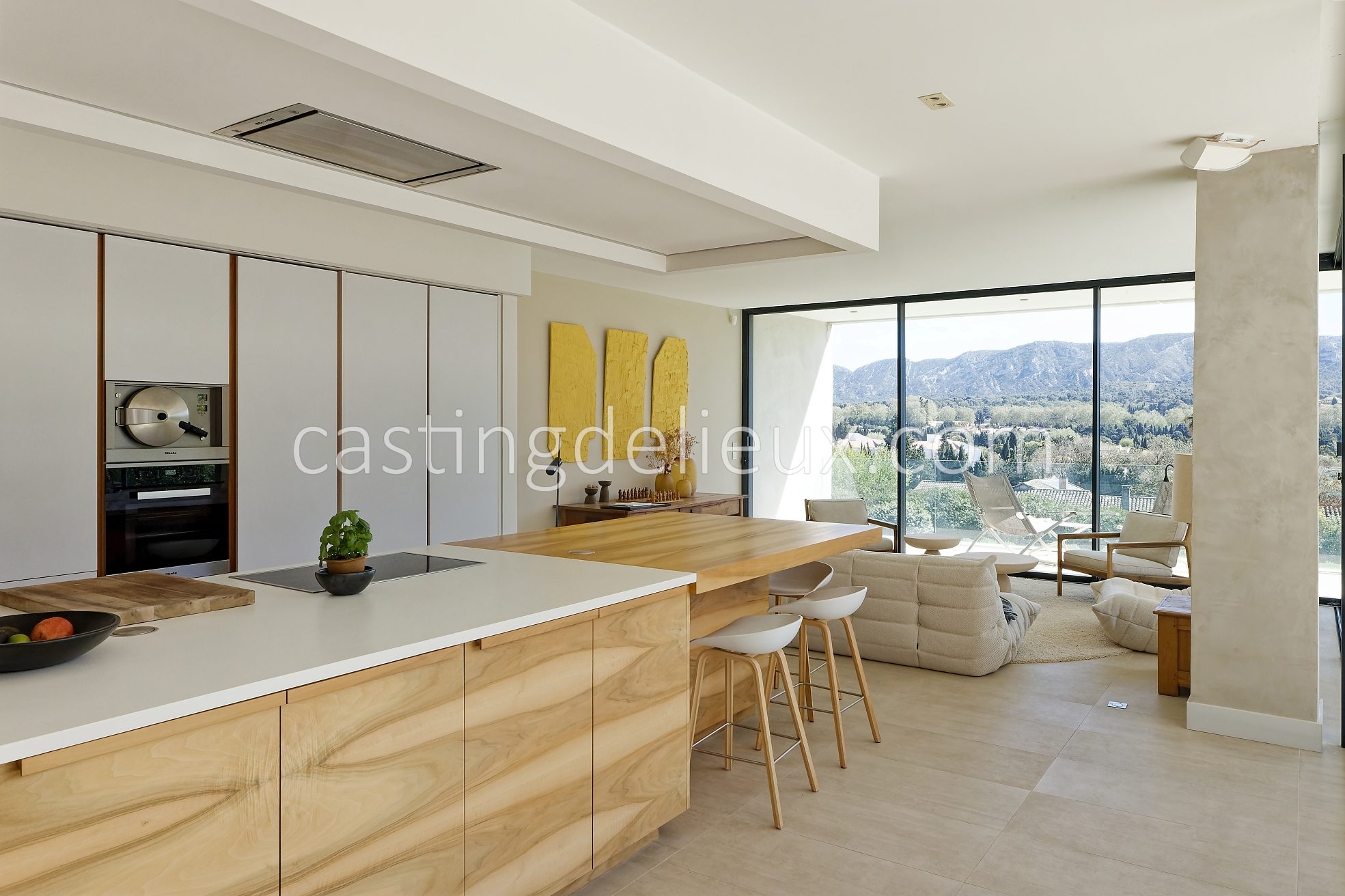 castingdelieux19-FR013W