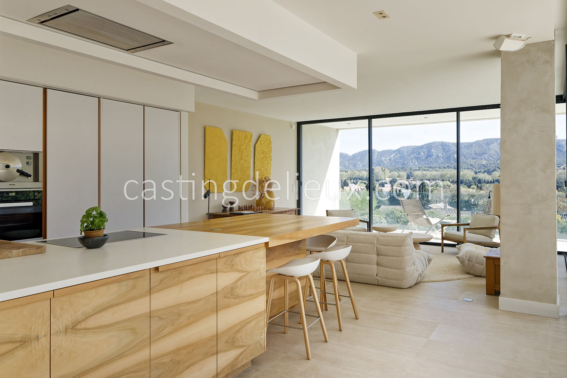 castingdelieux29-FR013W