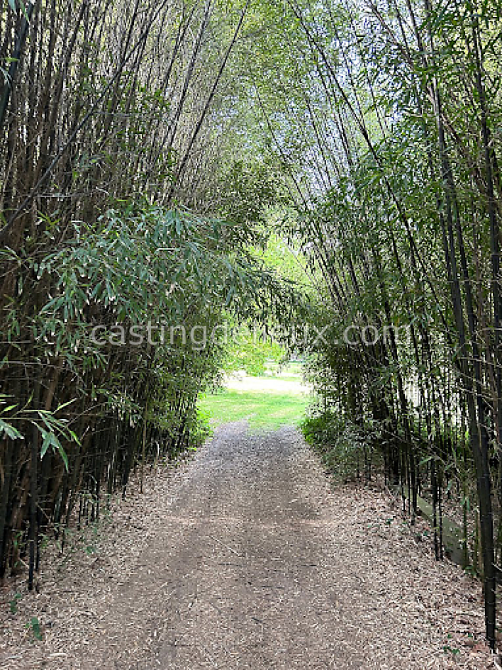 castingdelieux29FR025