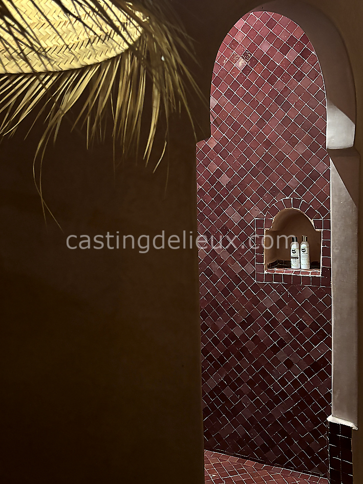 castingdelieux33FR009