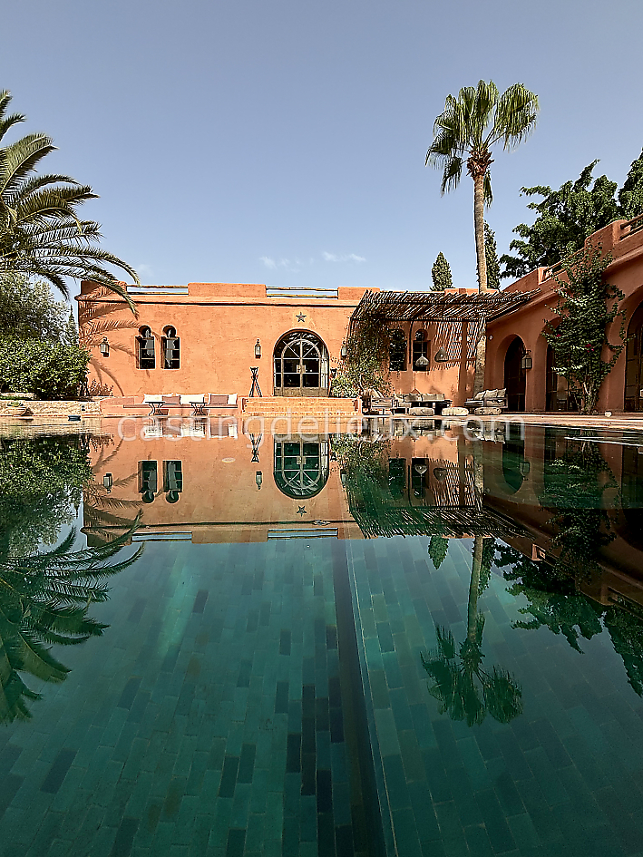 castingdelieux35FR009