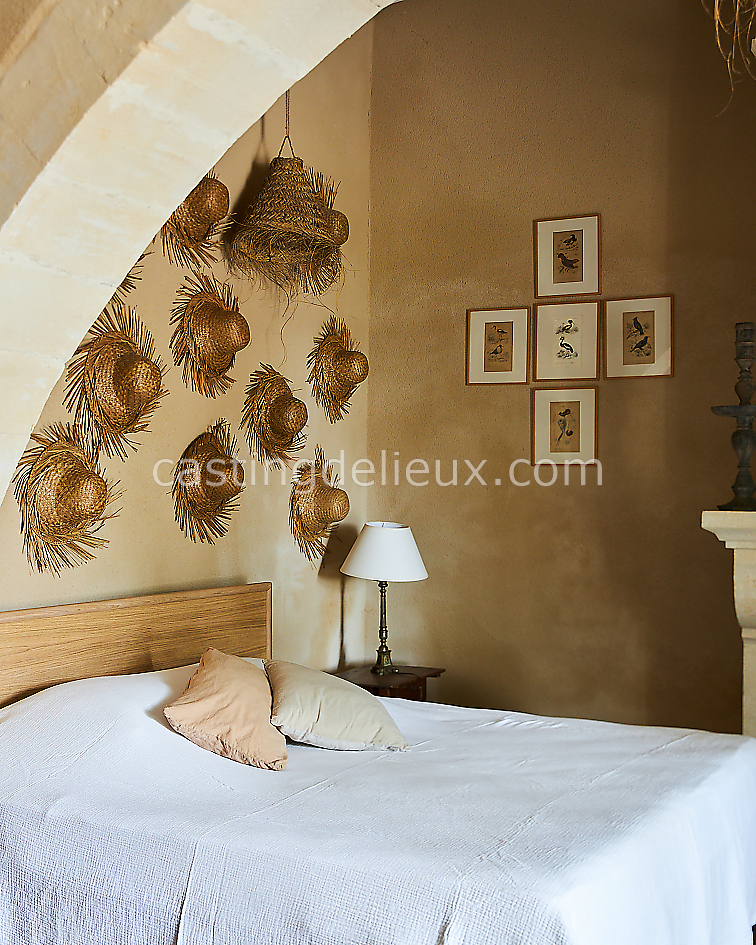 castingdelieux35FR011