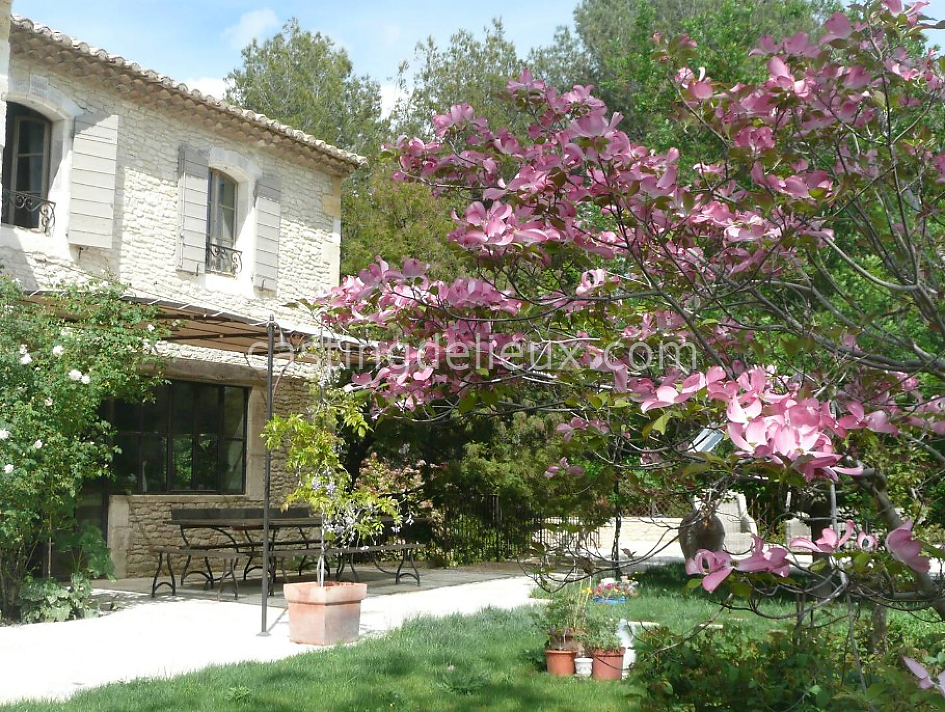 castingdelieux36FR002