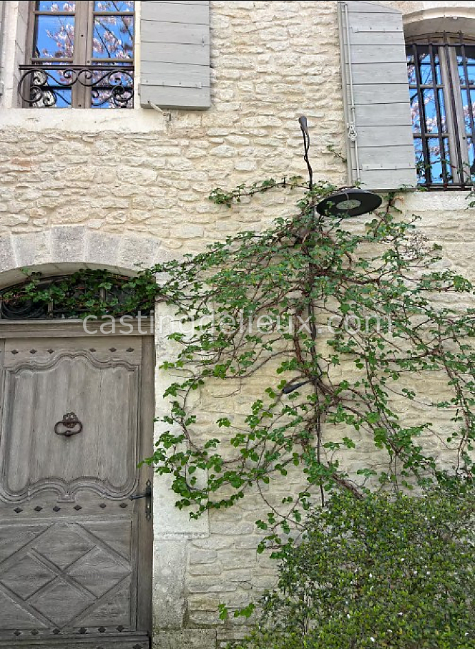 castingdelieux37FR002