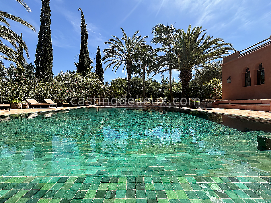 castingdelieux44FR009