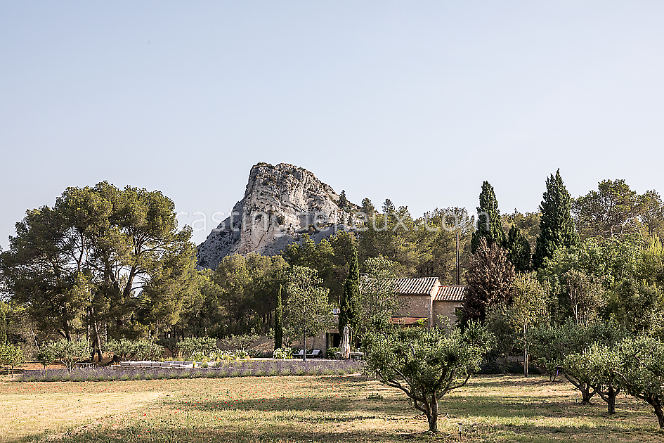 castingdelieux44FR020