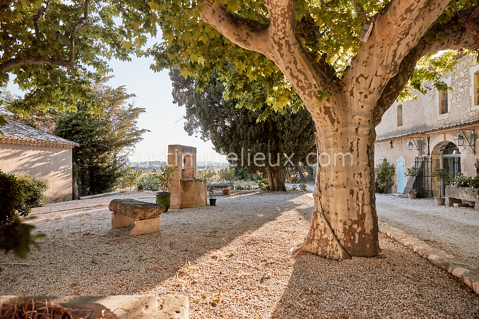 castingdelieux46FR011