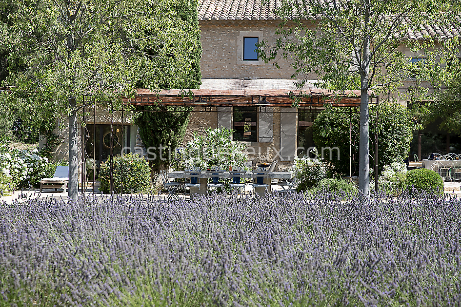 castingdelieux46FR020