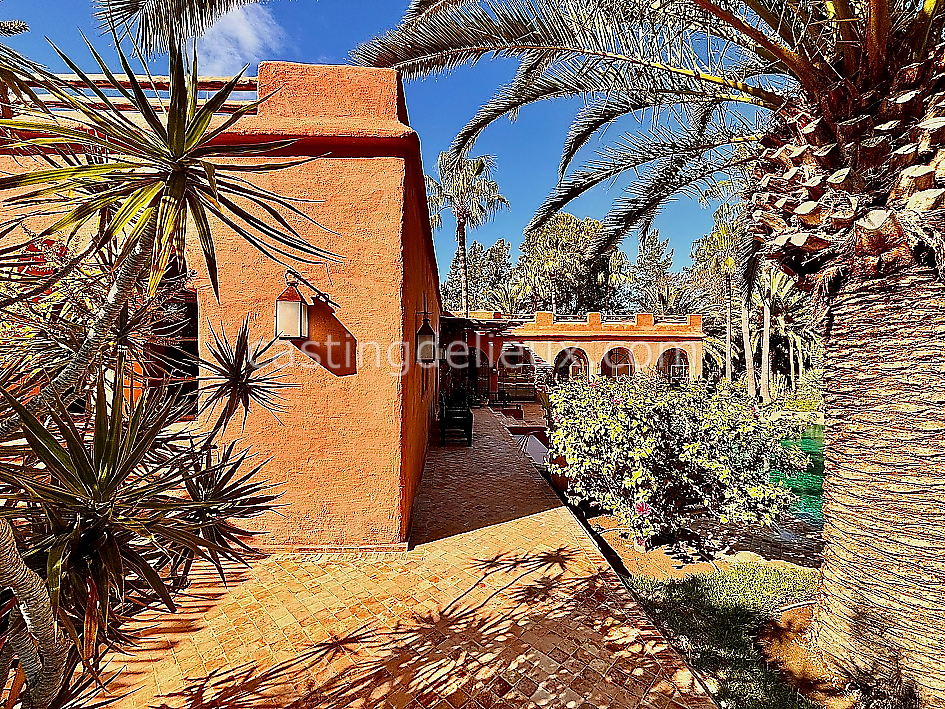 castingdelieux47FR009