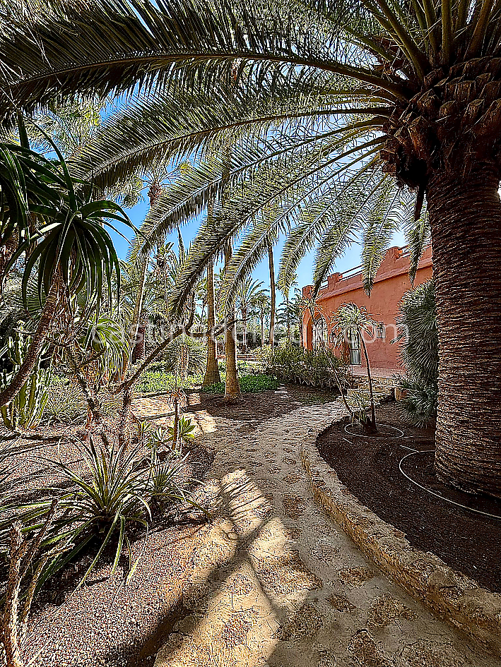 castingdelieux48FR009