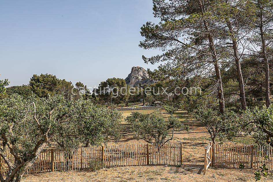 castingdelieux48FR020