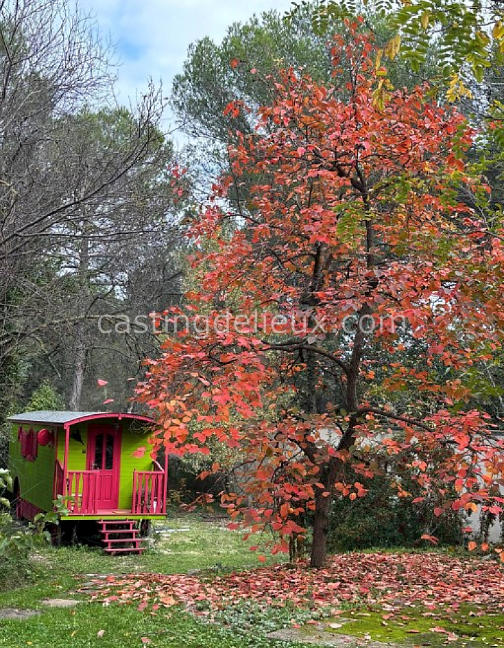 castingdelieux51FR002