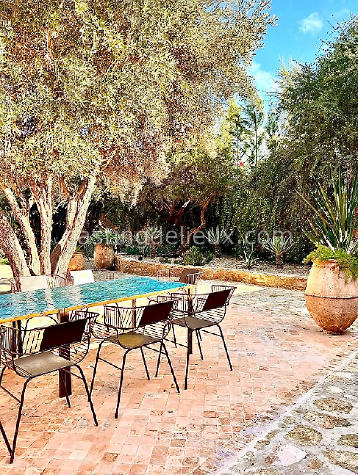 castingdelieux51FR009