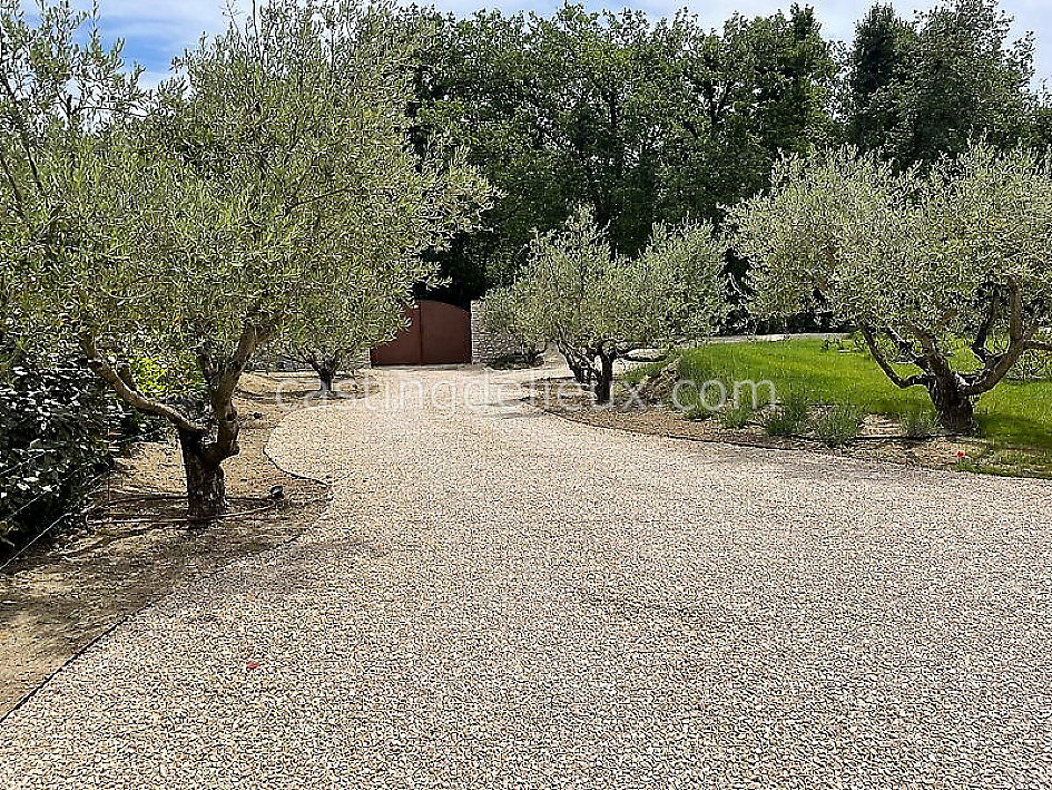 castingdelieux51FR024