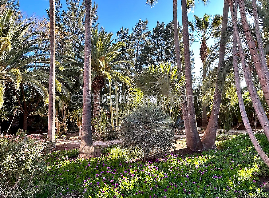 castingdelieux52FR009