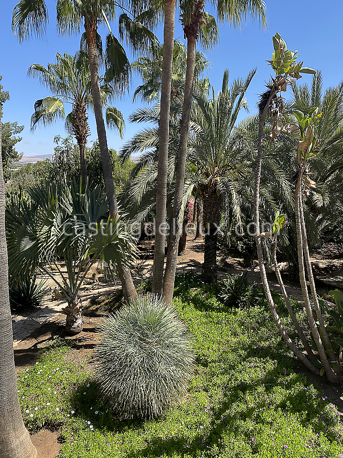 castingdelieux54FR009