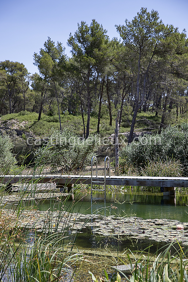 castingdelieux54FR020