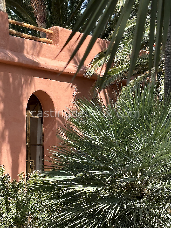 castingdelieux57FR009