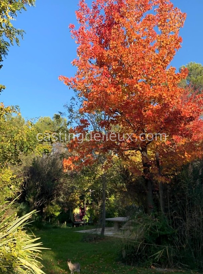 castingdelieux60FR002