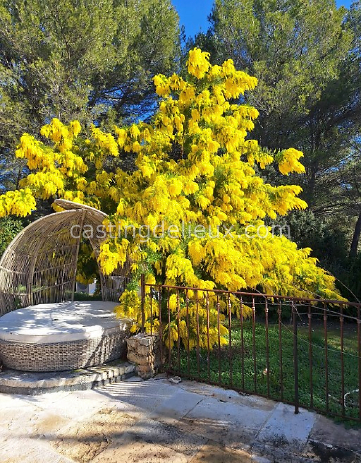 castingdelieux62FR002