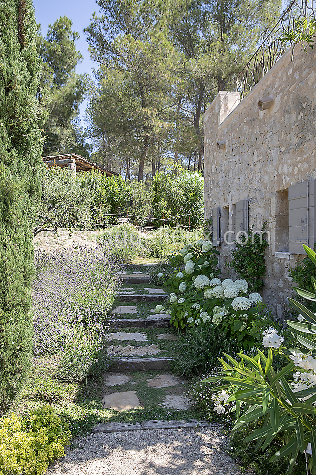 castingdelieux63FR020