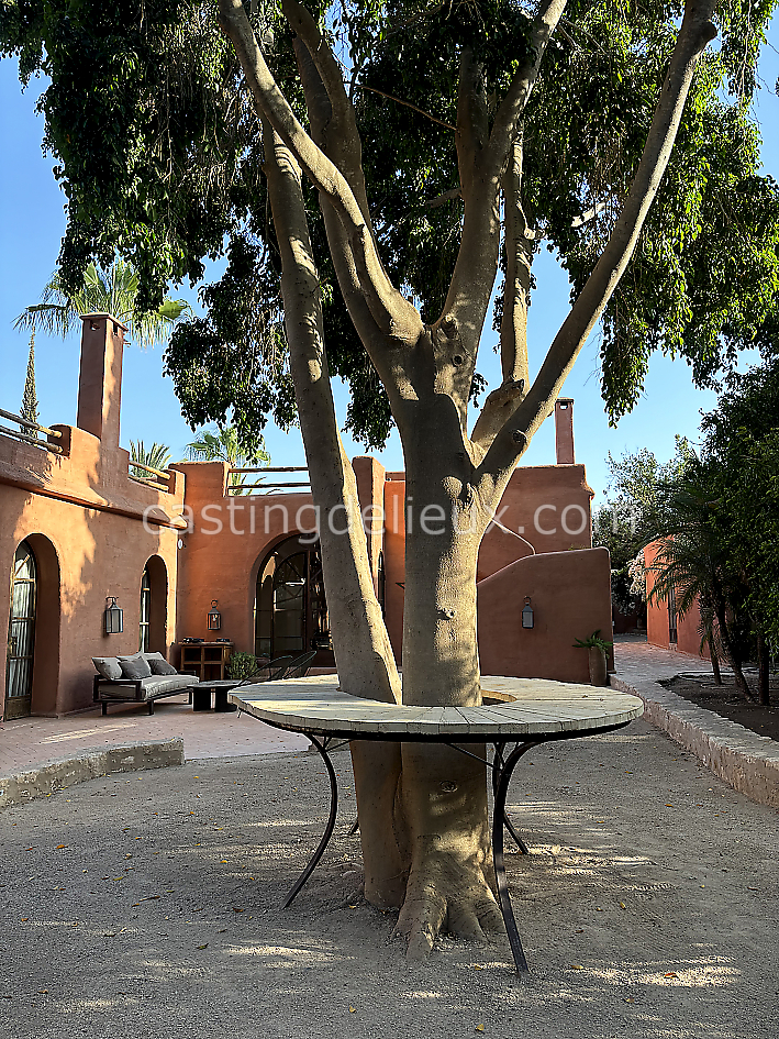 castingdelieux66FR009