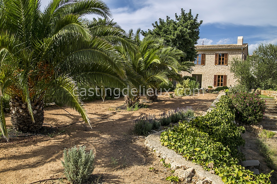 castingdelieux73FR003