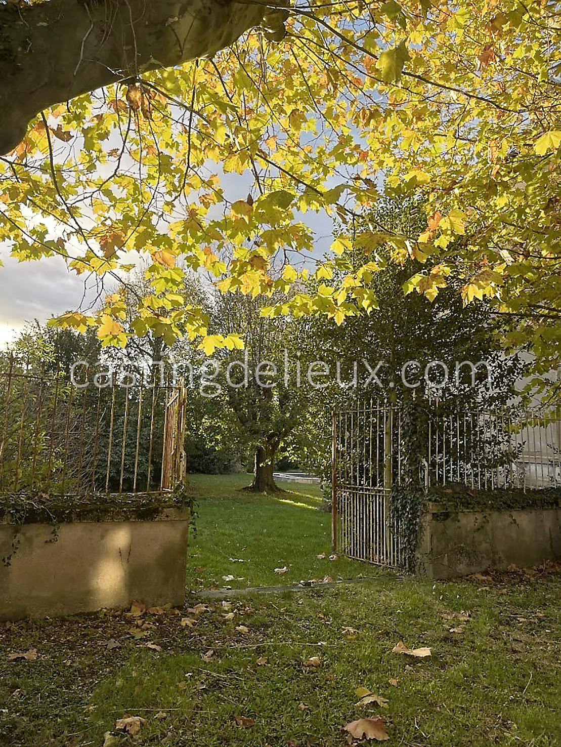 castingdelieux12FR038W