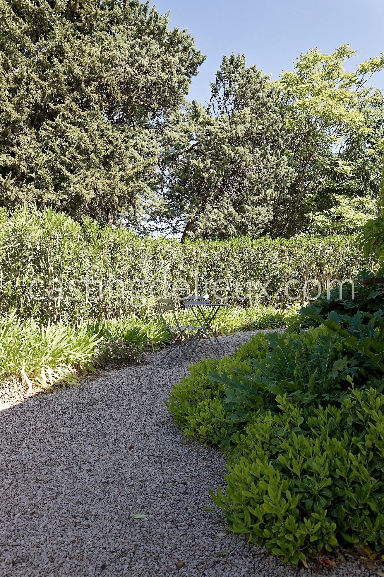 castingdelieux15FR037W