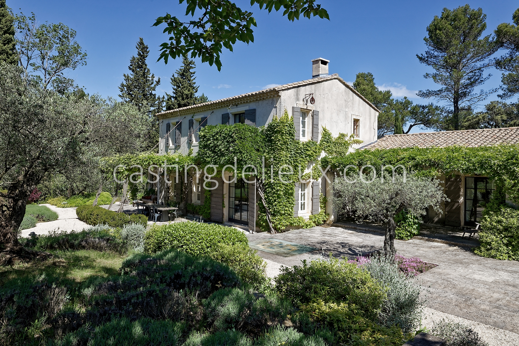 castingdelieux1FR037W