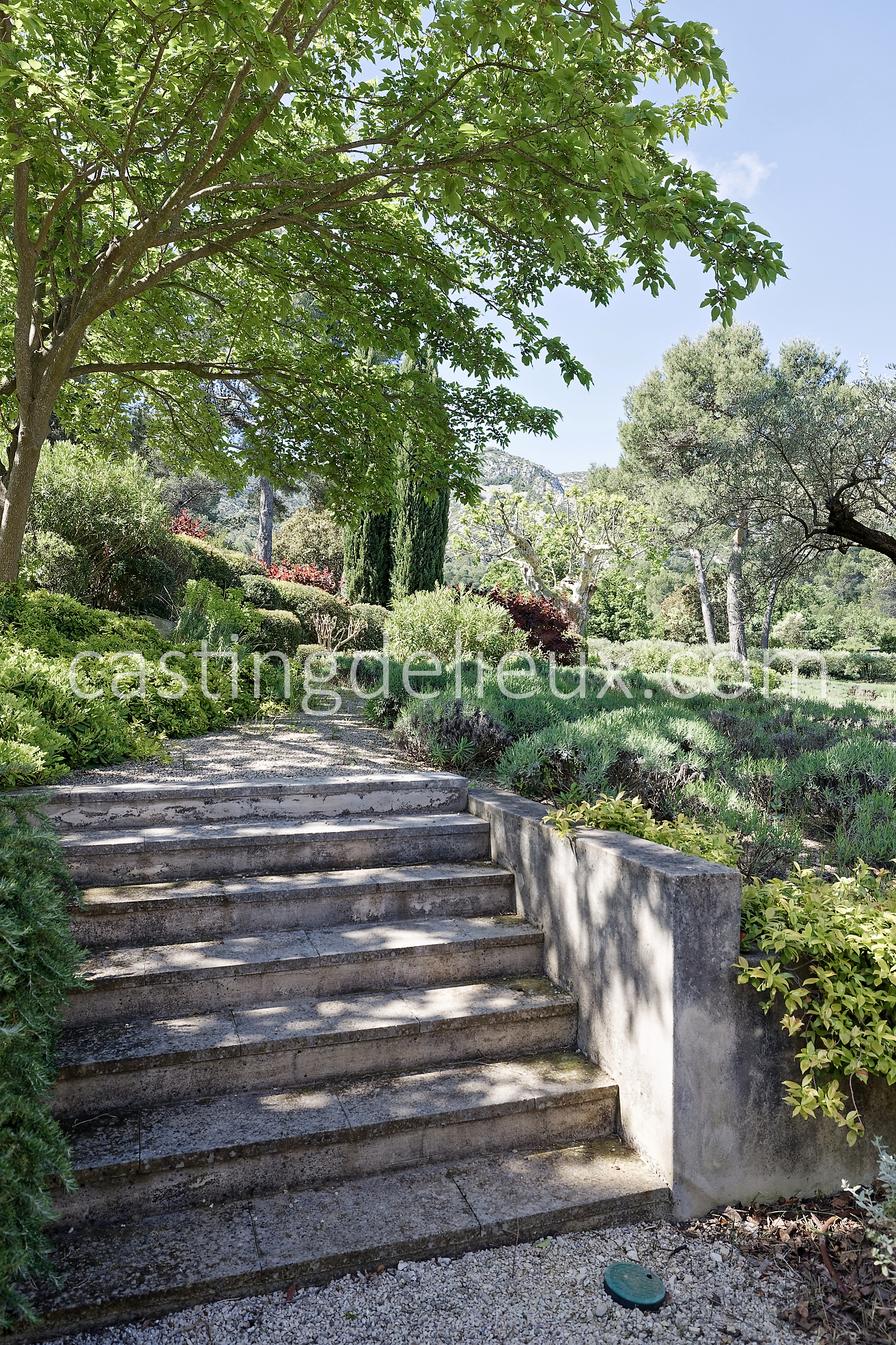 castingdelieux22FR037W