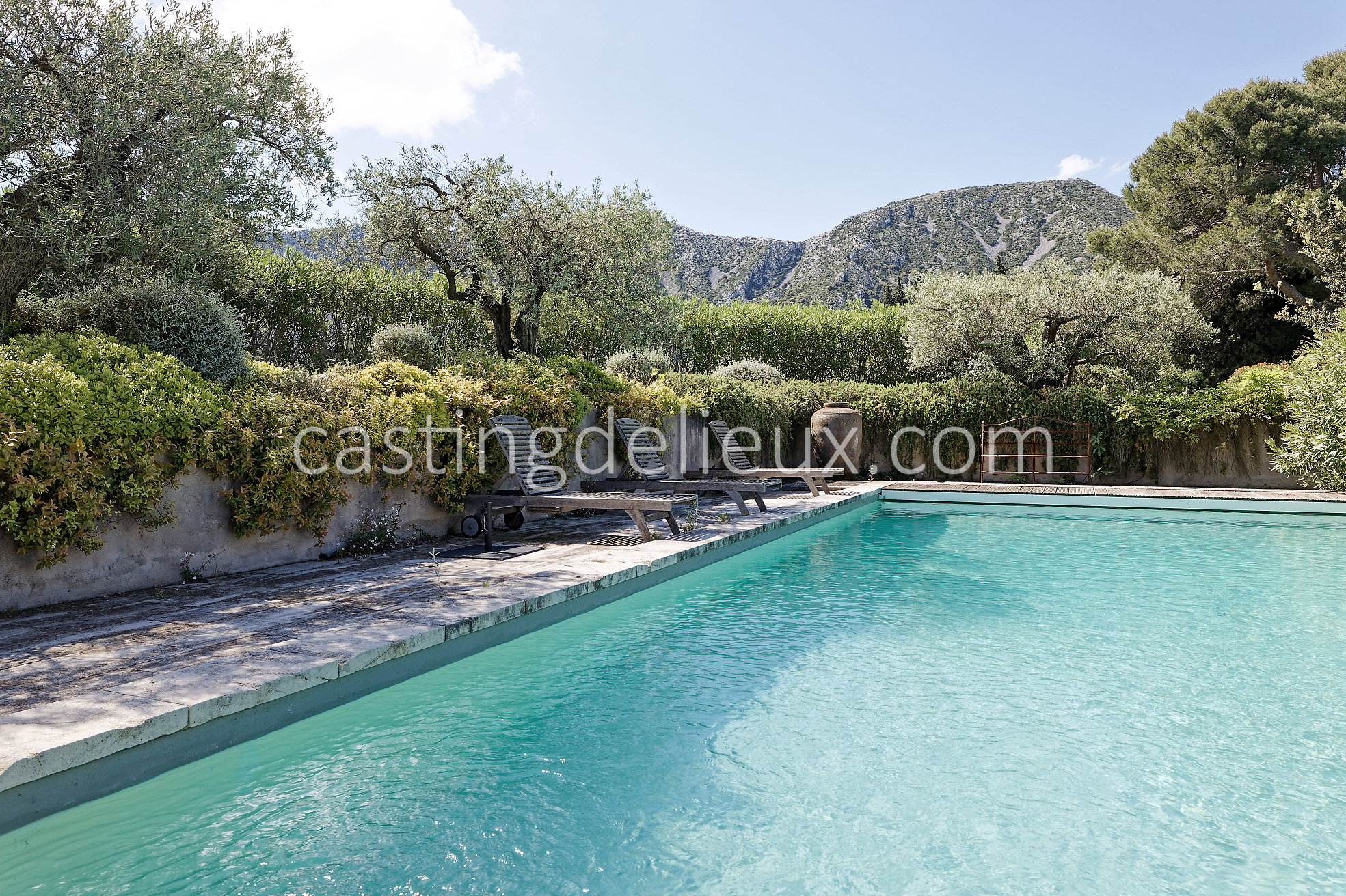 castingdelieux31FR037W