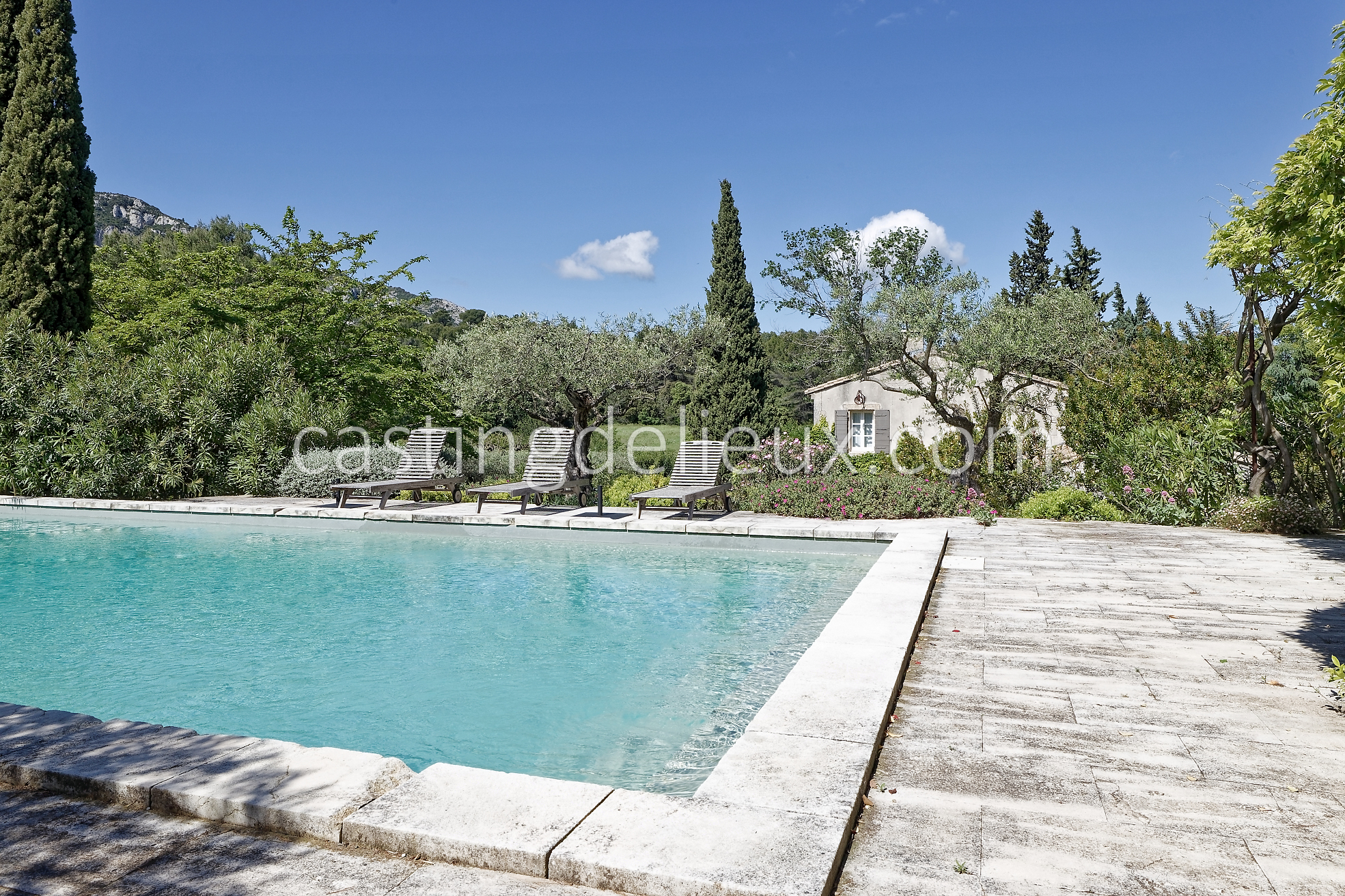 castingdelieux35FR037W