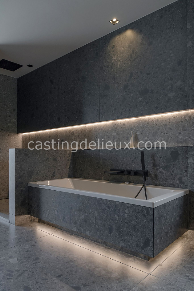 castingdelieux35FR054