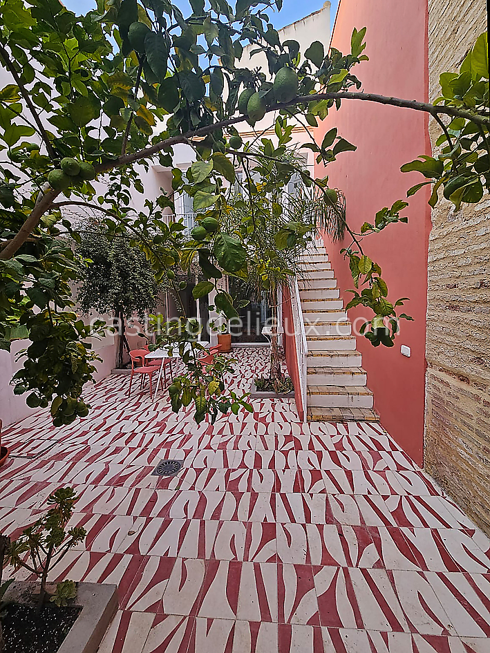 castingdelieux37FR053FR053