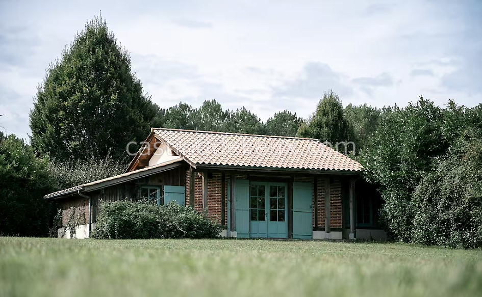 castingdelieux43FR043