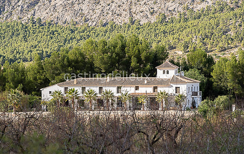 castingdelieux44FR040