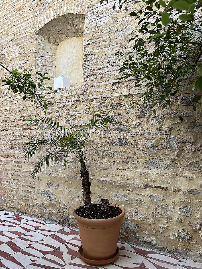 castingdelieux44FR053FR053