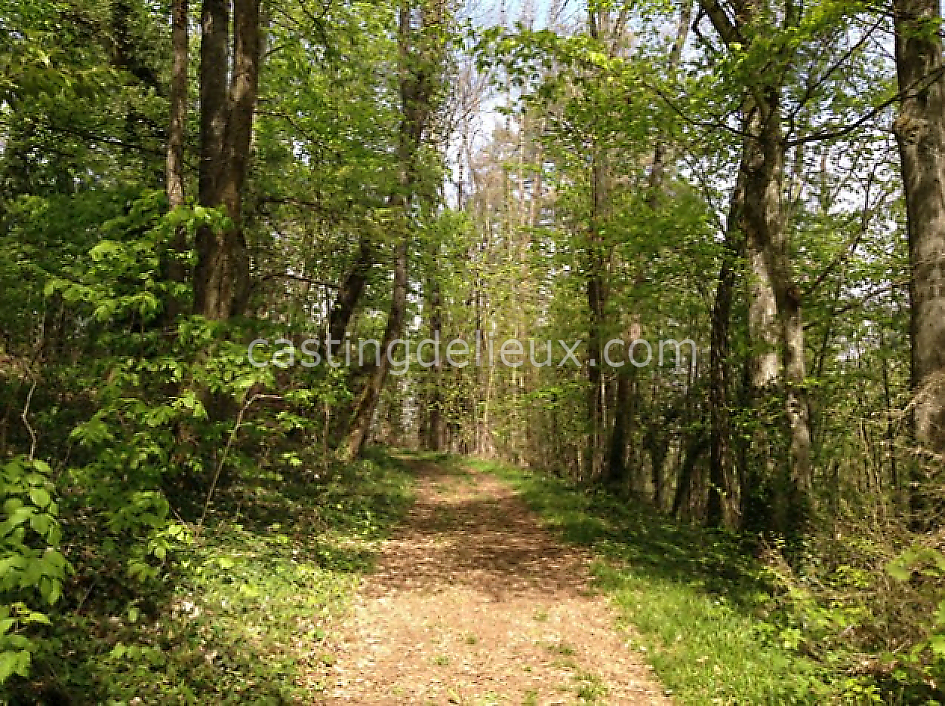 castingdelieux45FR042