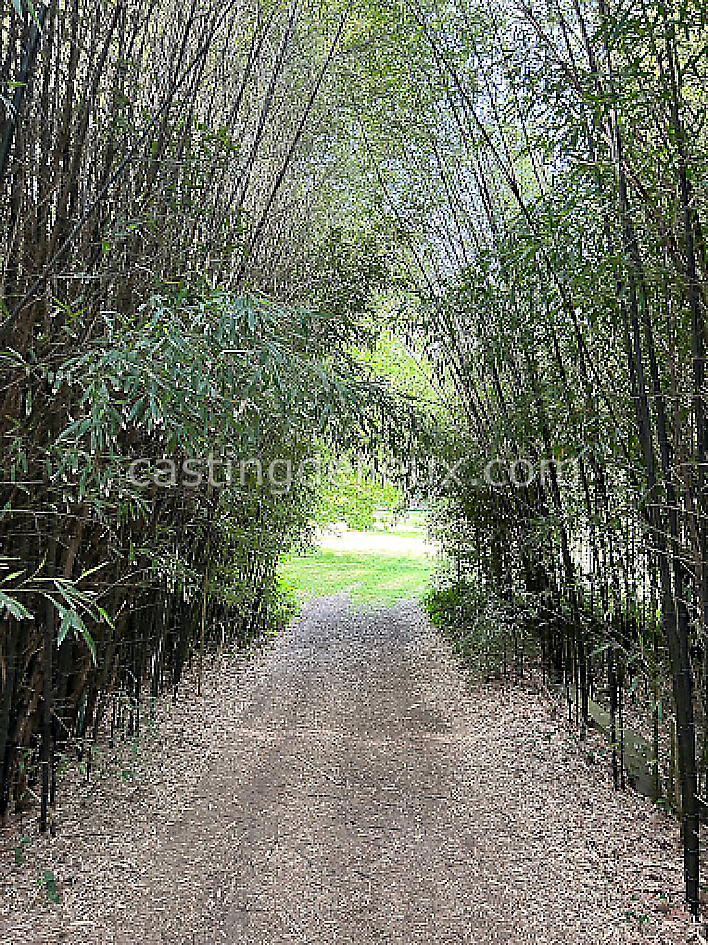 castingdelieux45FR043