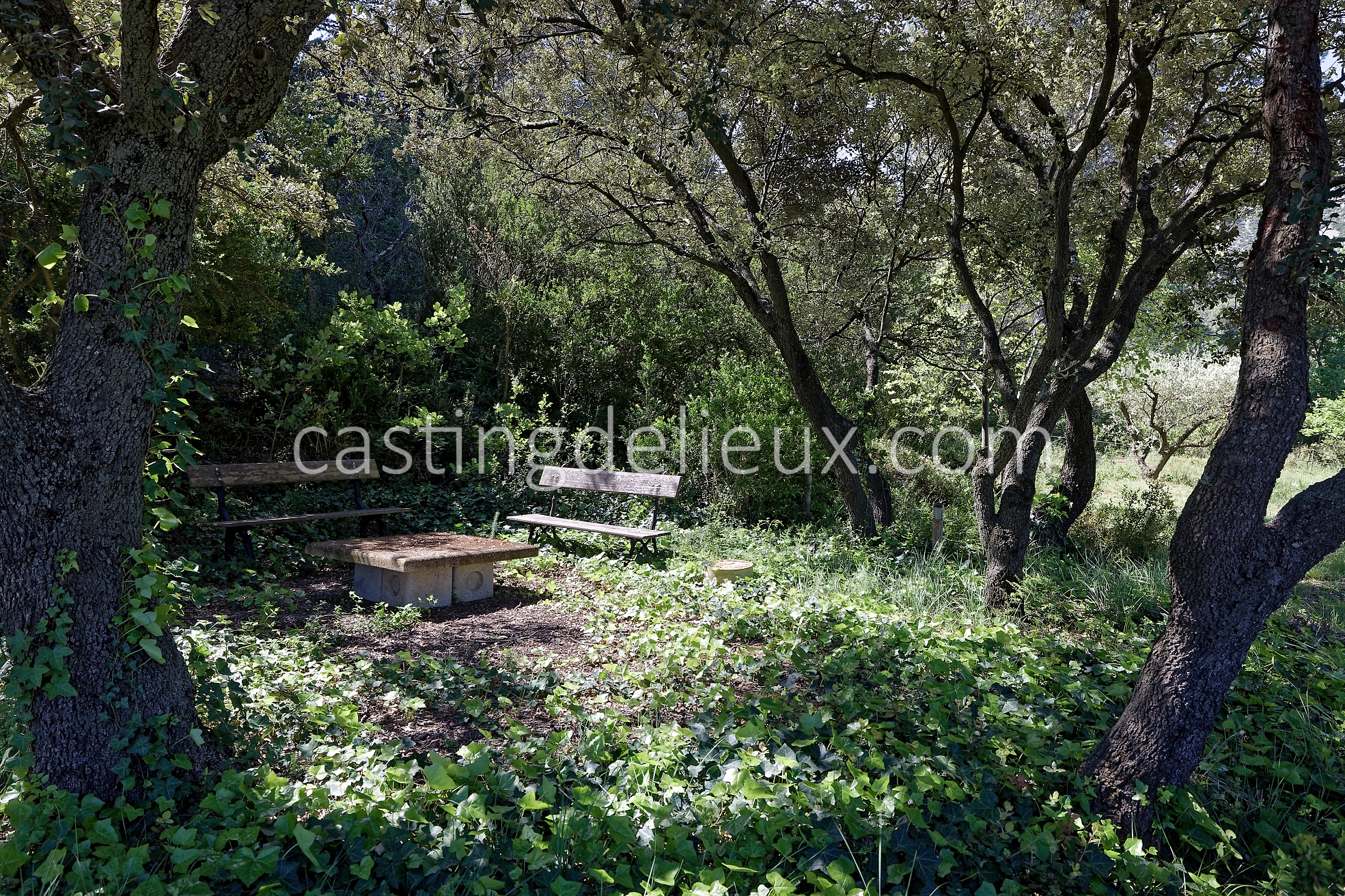 castingdelieux46FR037W