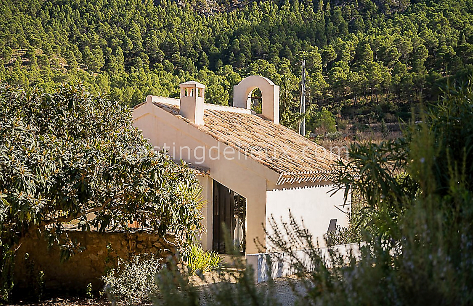 castingdelieux46FR040