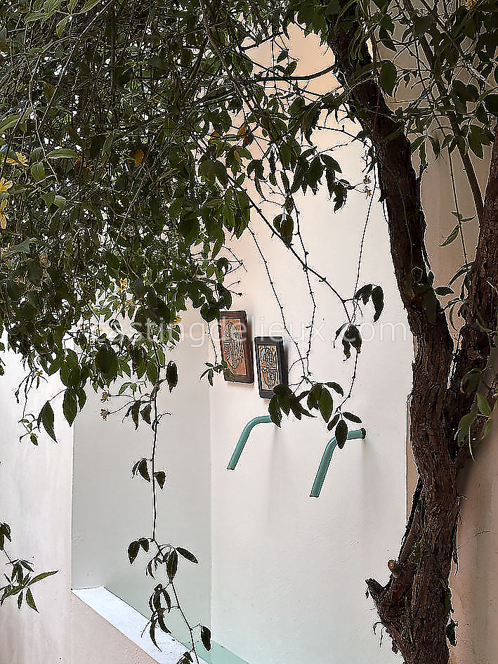 castingdelieux46FR053FR053