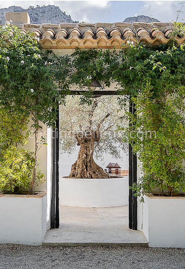 castingdelieux47FR040