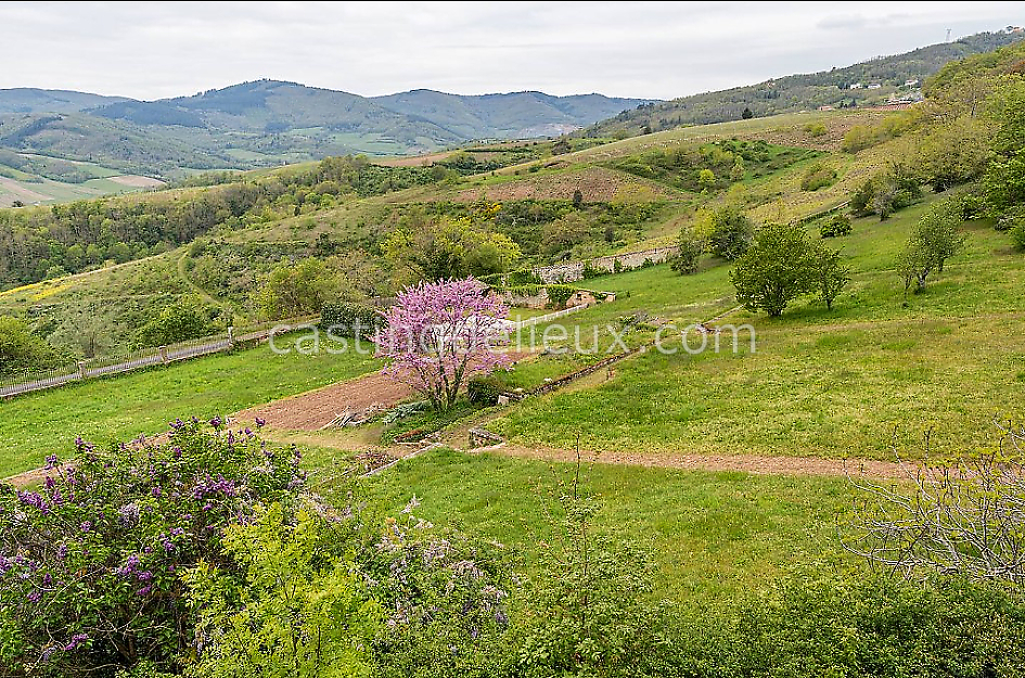 castingdelieux47FR042