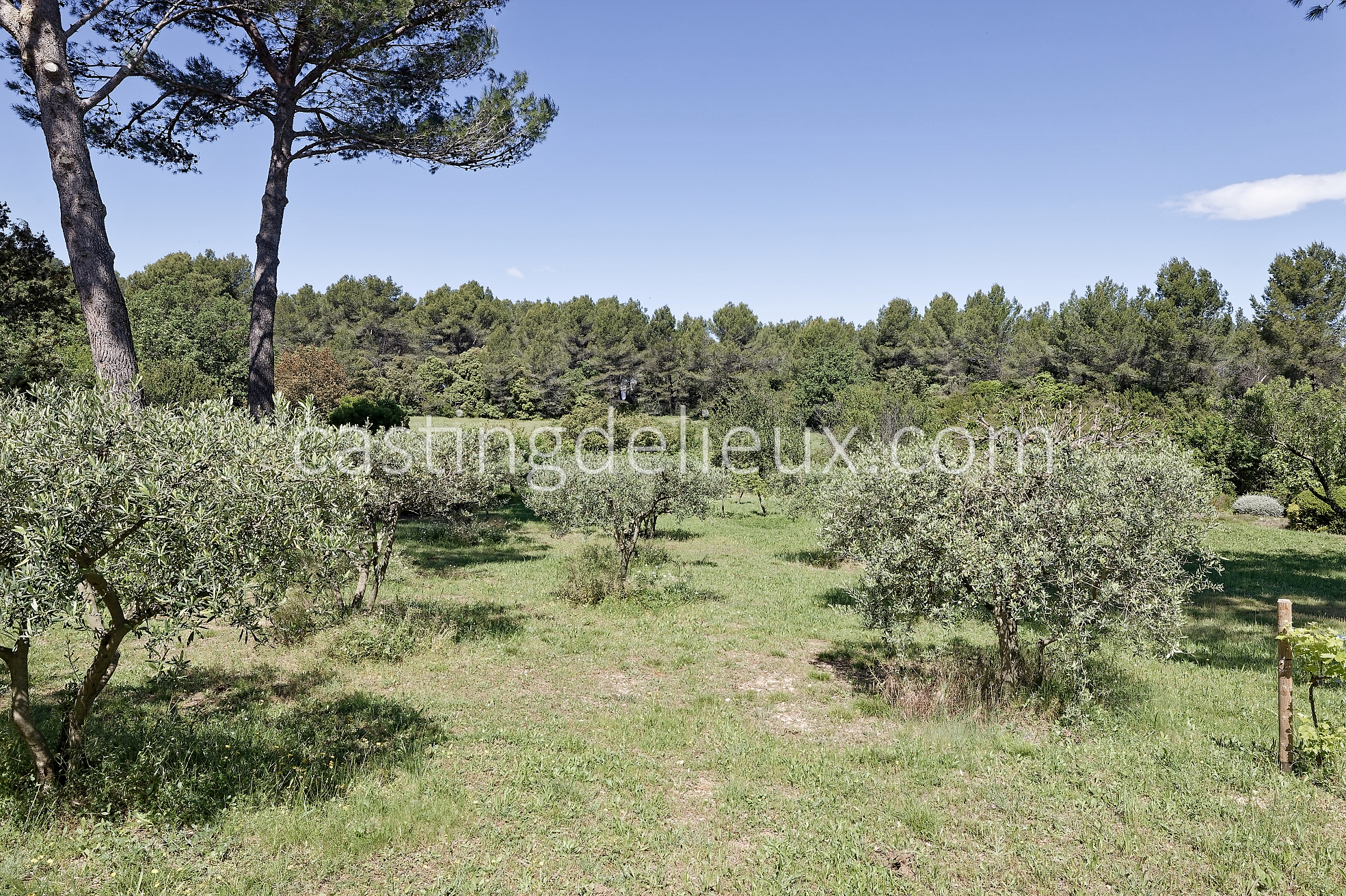 castingdelieux48FR037W