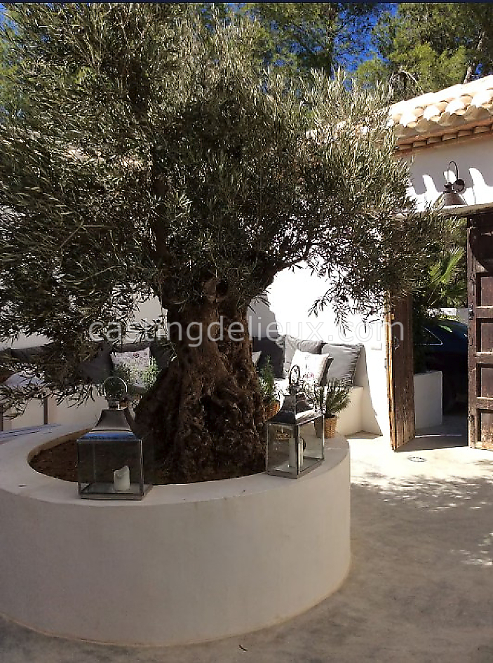 castingdelieux48FR040