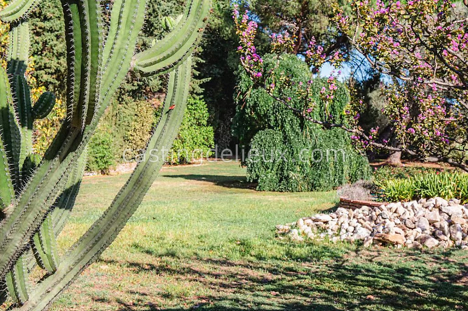 castingdelieux48FR056